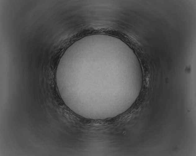 X0000089660917200707191645