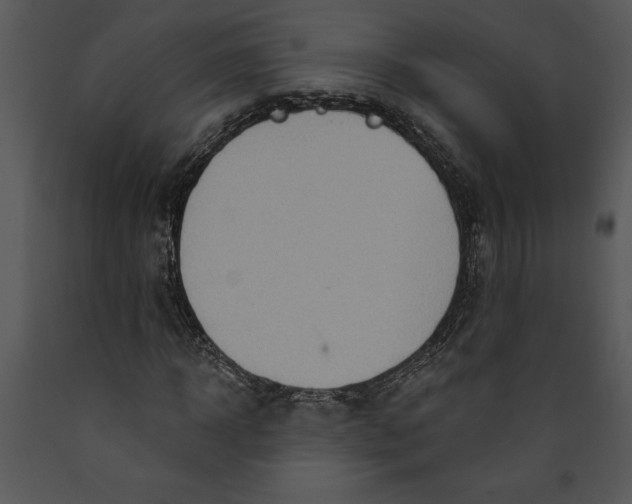 X0000089660918200707191645