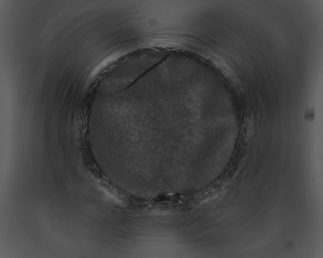 X0000089660920200707191645
