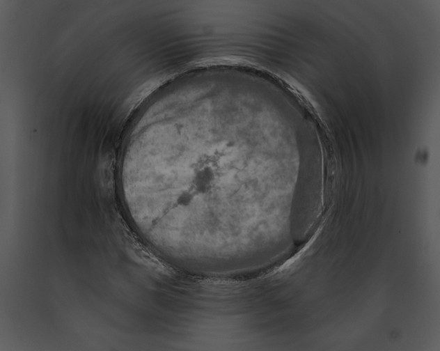 X0000089660921200707191645