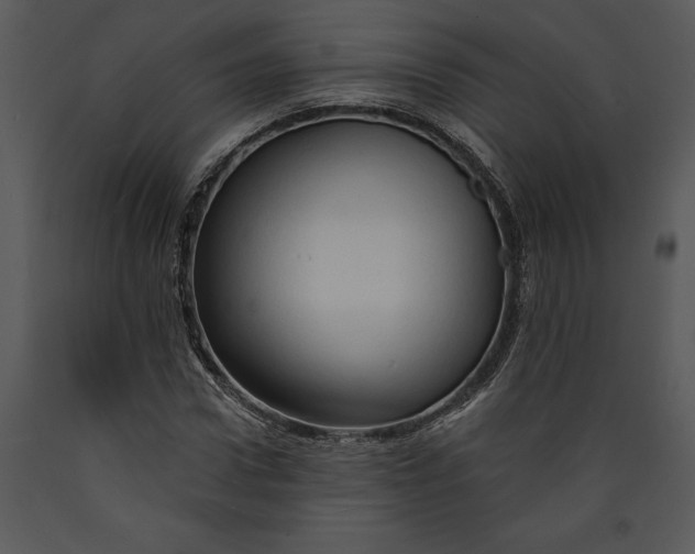 X0000089660922200707191645