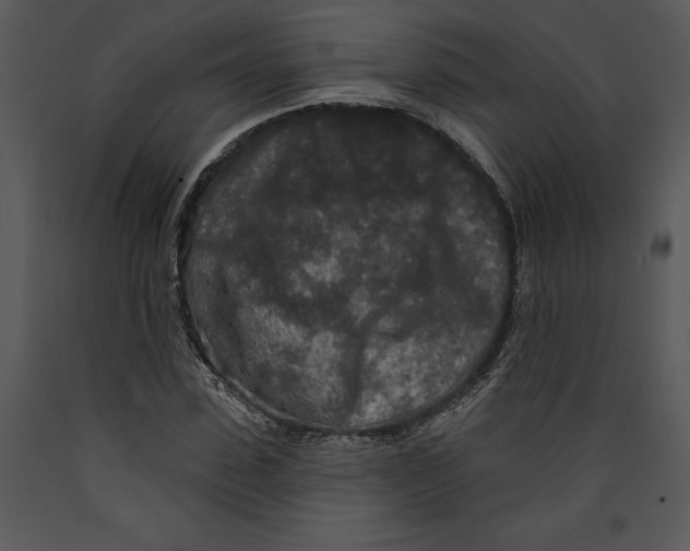 X0000089660923200707191645