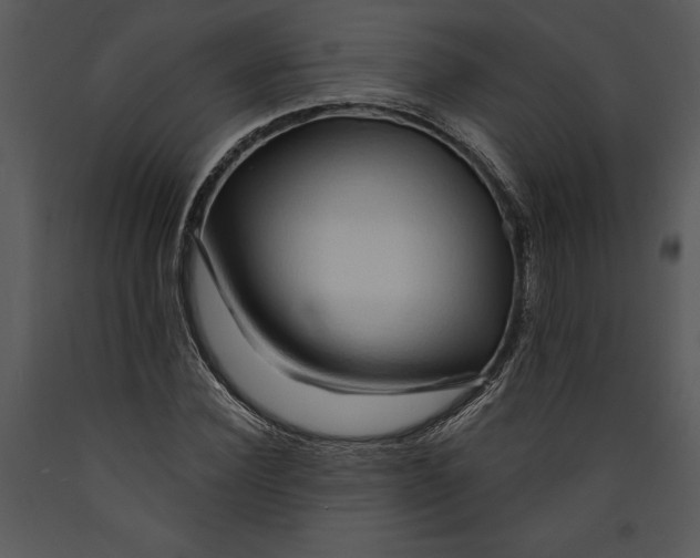 X0000089660924200707191645