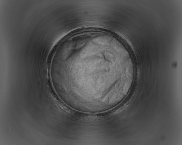 X0000089660925200707191645