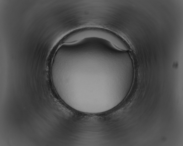 X0000089660926200707191645