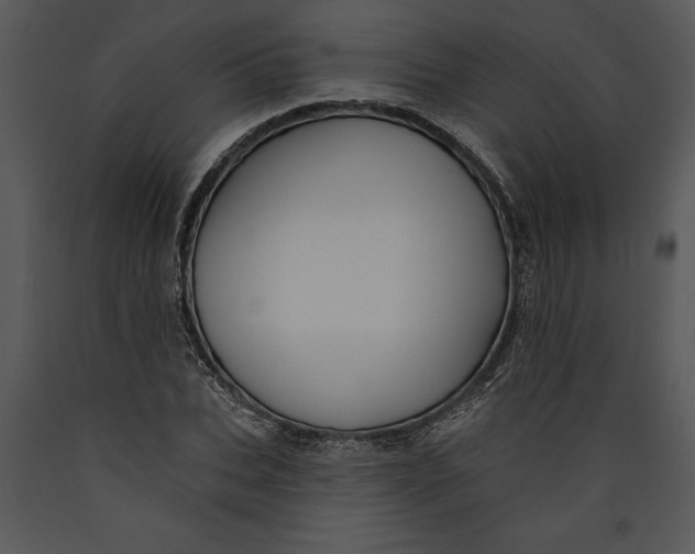 X0000089660927200707191645