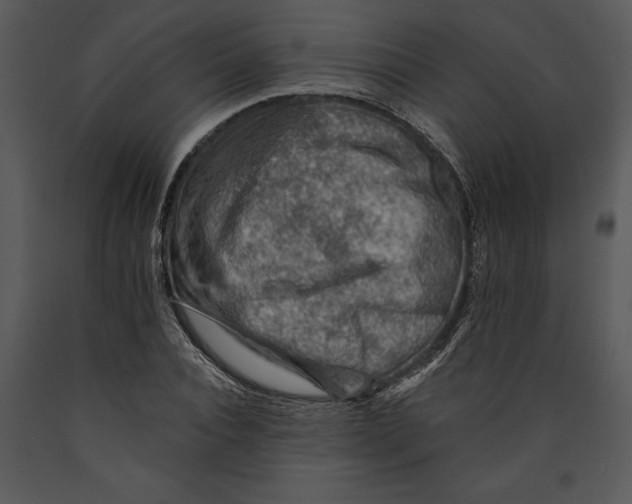 X0000089660928200707191645