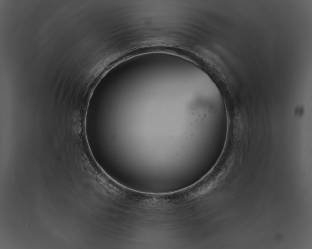 X0000089660929200707191645
