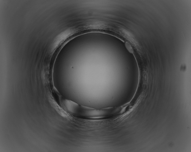 X0000089660930200707191645