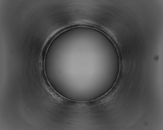 X0000089660931200707191645