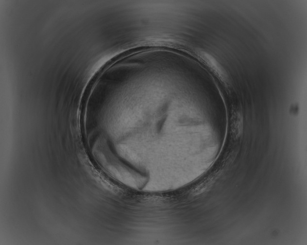 X0000089660932200707191645