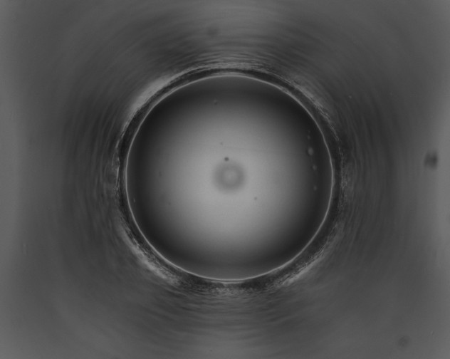 X0000089660933200707191645