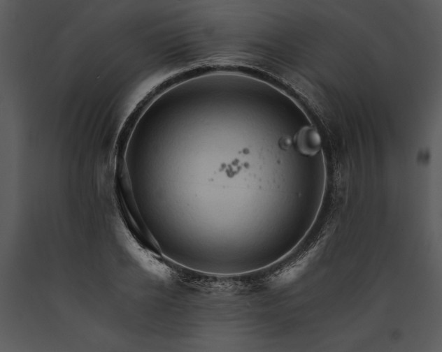 X0000089660934200707191645