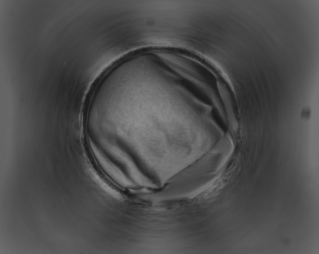X0000089660935200707191645