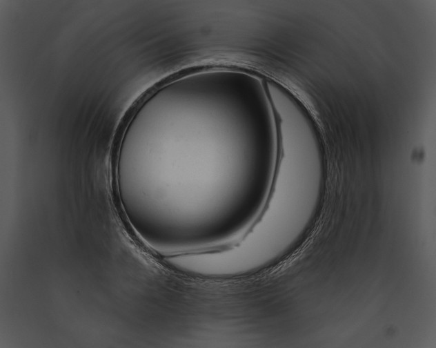 X0000089660936200707191645
