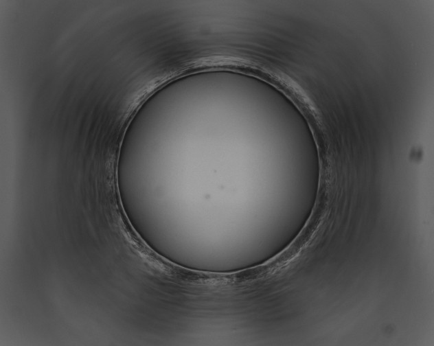 X0000089660937200707191645