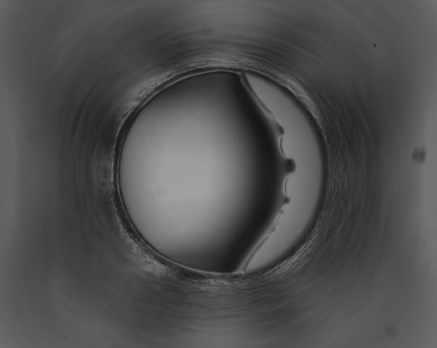 X0000089660938200707191645