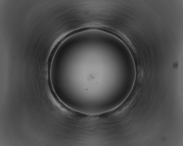 X0000089660939200707191645