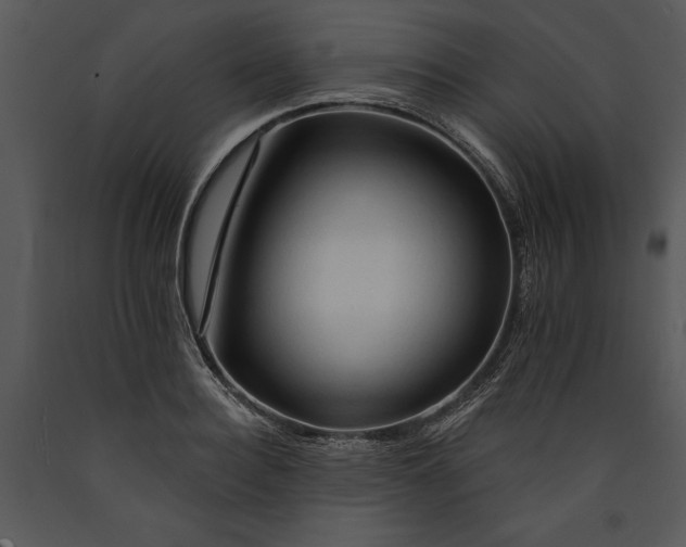 X0000089660940200707191645