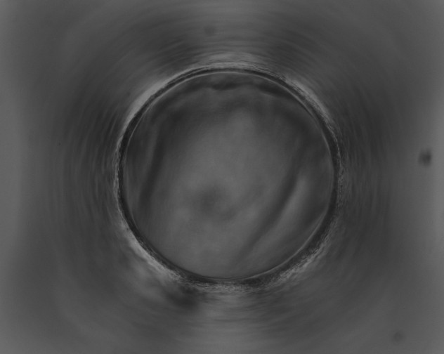 X0000089660941200707191645