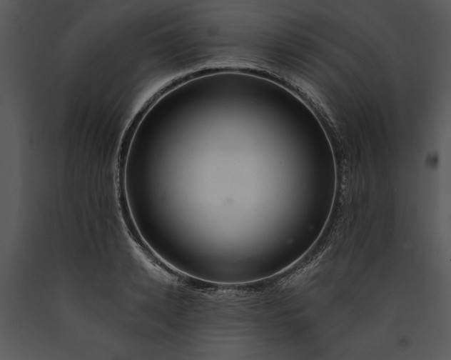 X0000089660942200707191645
