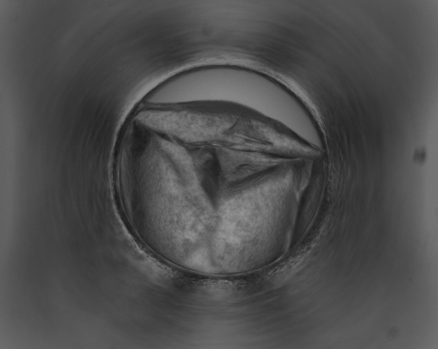 X0000089660943200707191645