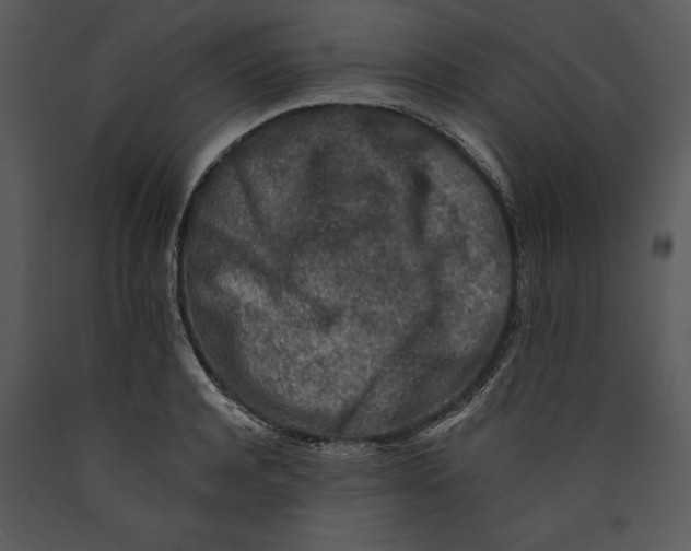 X0000089660944200707191645