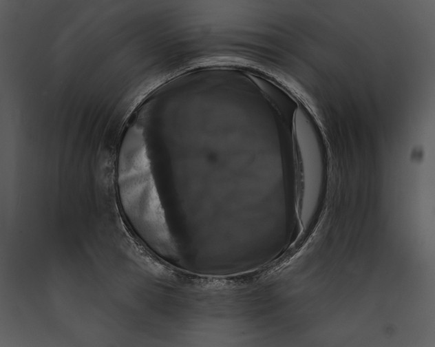 X0000089660945200707191645