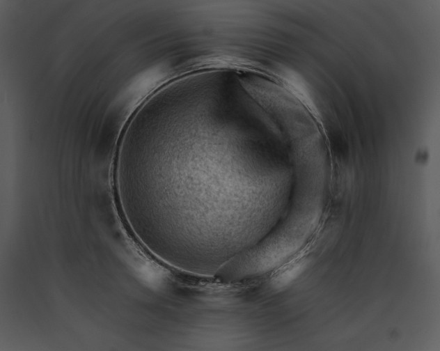 X0000089660946200707191645