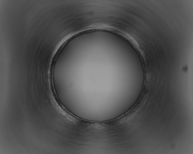 X0000089660947200707191645