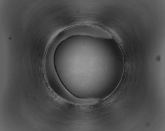 X0000089660948200707191645