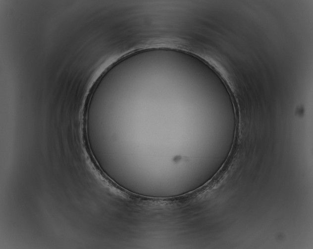 X0000089660949200707191645