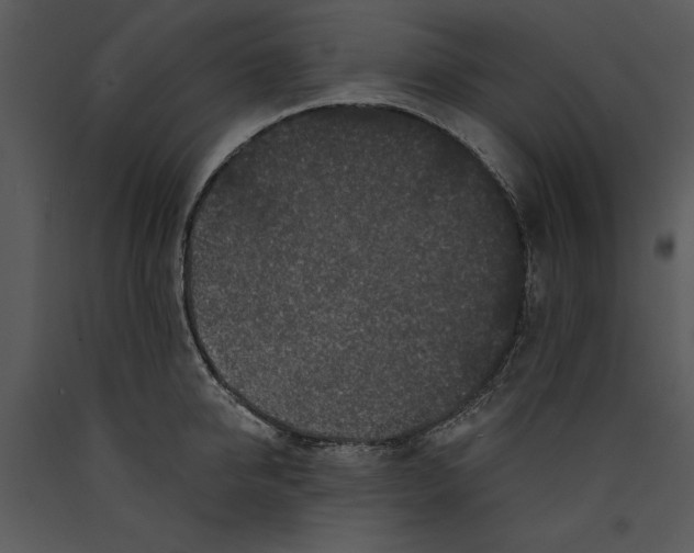 X0000089660950200707191645