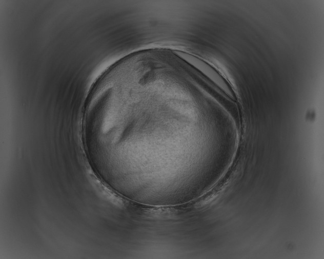 X0000089660952200707191645