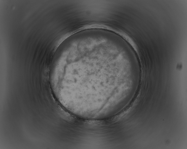 X0000089660953200707191645