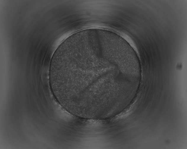 X0000089660954200707191645
