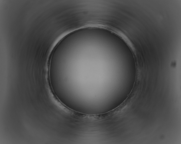 X0000089660955200707191645