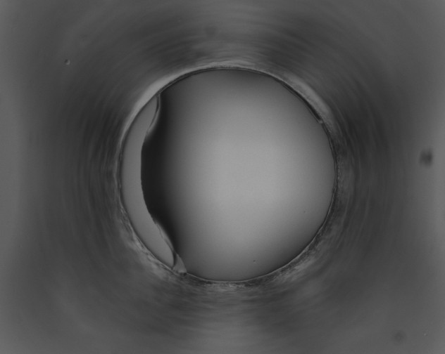X0000089660956200707191645