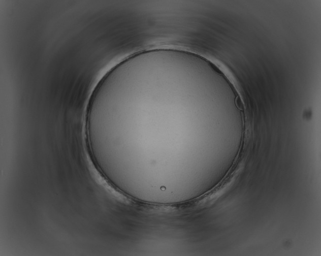 X0000089660957200707191645
