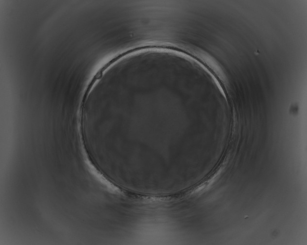 X0000089660958200707191645