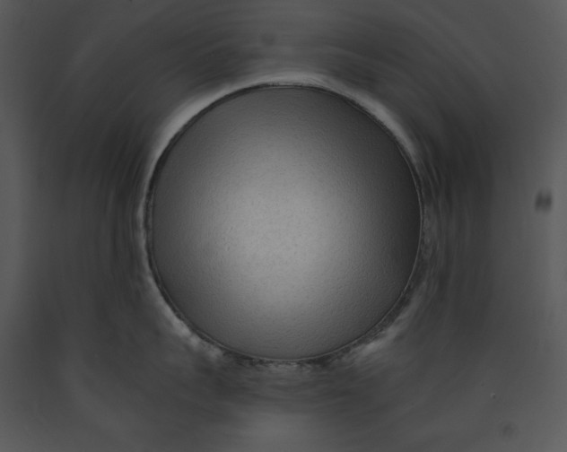 X0000089660959200707191645