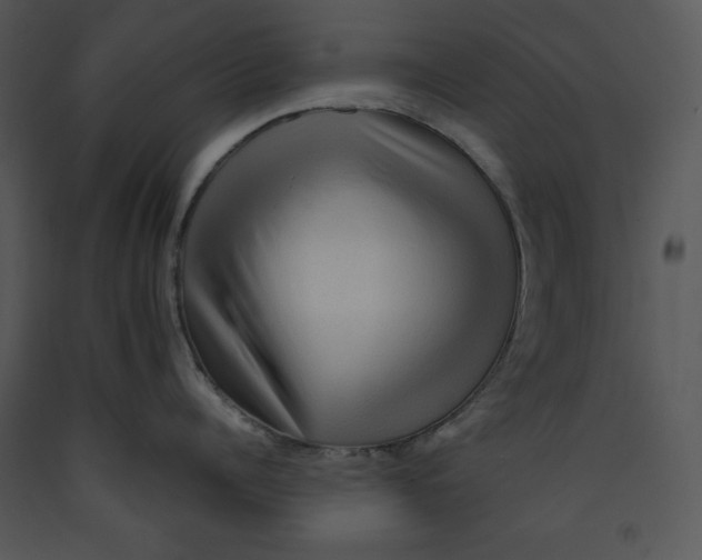 X0000089660960200707191645