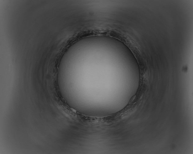 X0000089660961200707191645