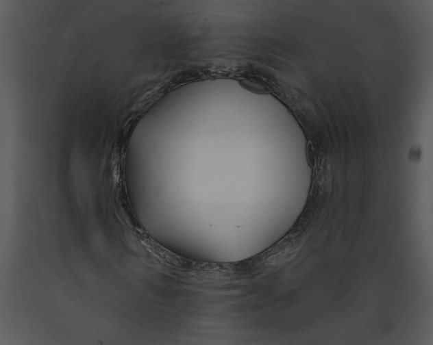 X0000089660962200707191645