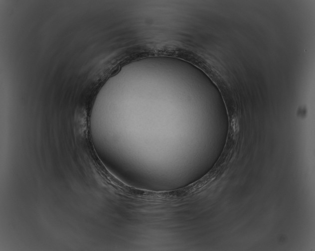 X0000089660963200707191645
