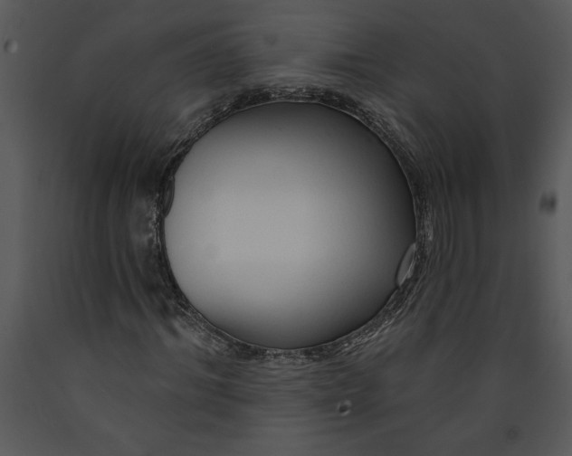 X0000089660964200707191645