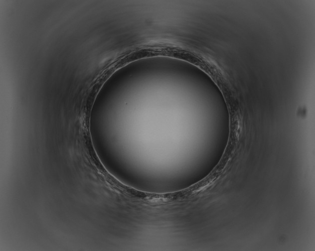 X0000089660965200707191645