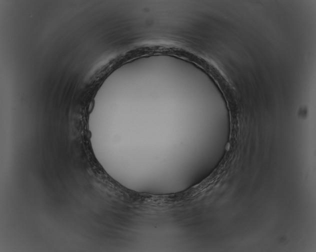 X0000089660967200707191645