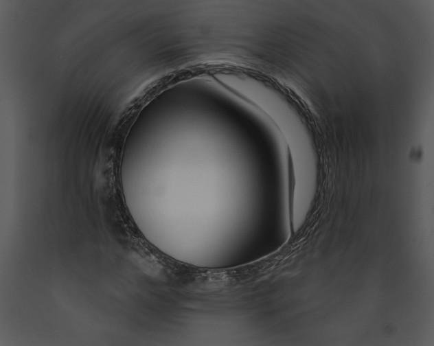 X0000089660968200707191645