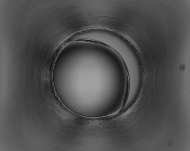 X0000089660969200707191645